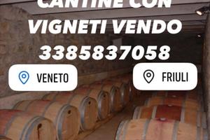 Cantine e vigneti di prosecco agriturismo