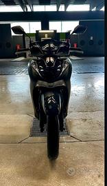 Honda sh 125 2024 sport