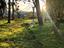 Immagine 20