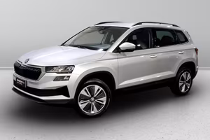 Skoda Karoq 2.0 tdi evo Executive 115cv dsg