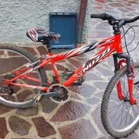 biciclette 