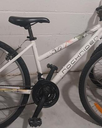 Bici ragazza 24