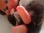 Immagine 5