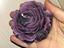 Immagine 5