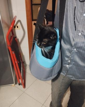 trasportino cagnolino 