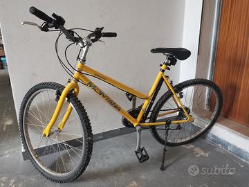 Bicicletta 
