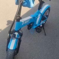 bicicletta elettrica pedalata assistita 250 w