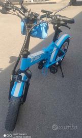 bicicletta elettrica pedalata assistita 250 w