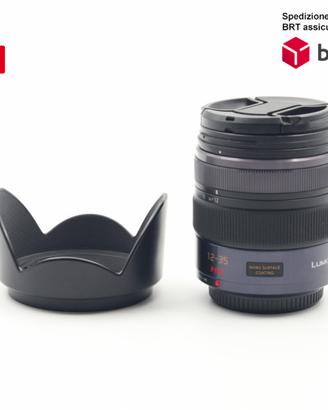 Panasonic Lumix G X 12-35 F2.8 OIS (Panasonic)