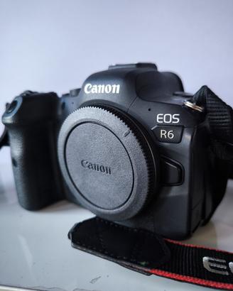 CANON R6 perfetta