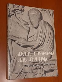 Dal ceppo al ramo