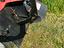Immagine 3