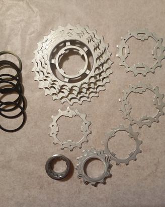 Cassetta pignoni Campagnolo SR 12v
