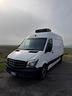 mercedes-benz-sprinter-frigo