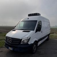 Mercedes Benz Sprinter frigo