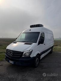 Mercedes Benz Sprinter frigo