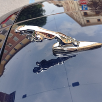 Jaguar statua da cofano adesiva