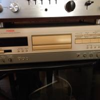 DAT professionali perfetti