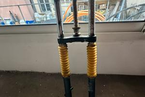 Forcella anteriore fifty top