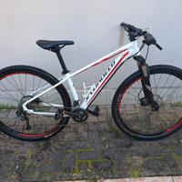 Specialized Rockhopper comp con ruote da 29 "