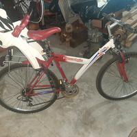 bici muntabike con sediolono per bambini