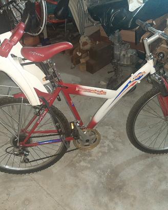 bici muntabike con sediolono per bambini
