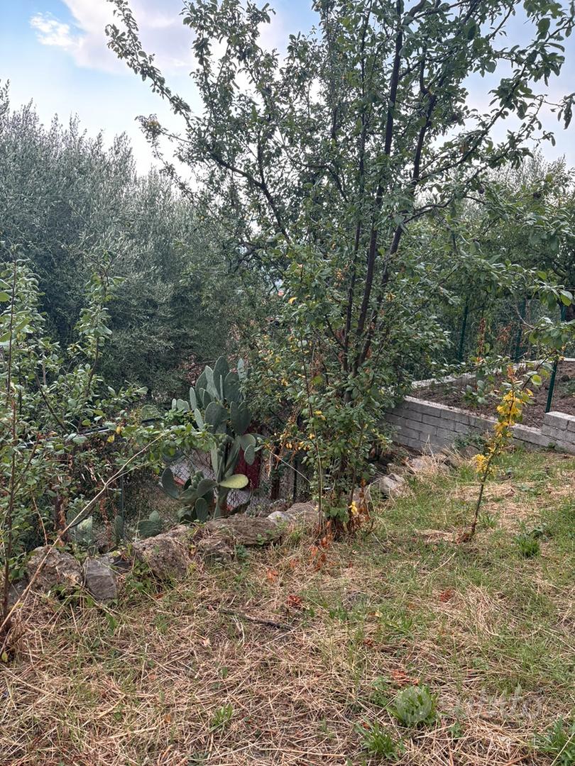 Immobile con rudere e giardino - Altro