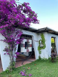 Villa tra Terracina e il Circeo