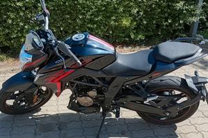 Voge Brivido 300
