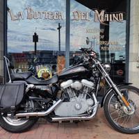 Harley-davidson 883 Sportster Custom XL 883C (53C)
