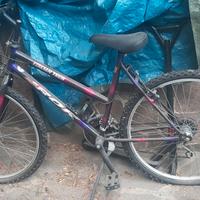 bici da donna 