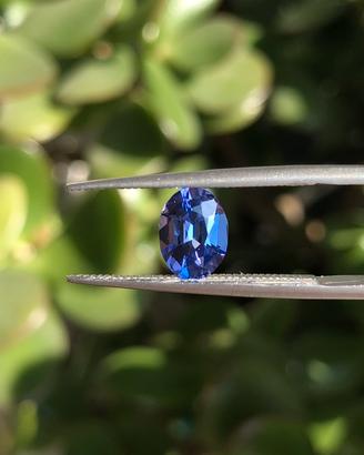 Tanzanite Naturale 0.84 ct