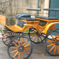 Carrozza per cavalli