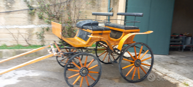Carrozza per cavalli