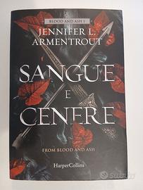 Sangue e Cenere (Fantasy romance)