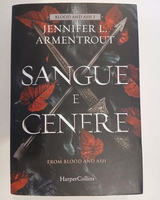 Sangue e Cenere (Fantasy romance)
