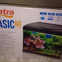 acquario 