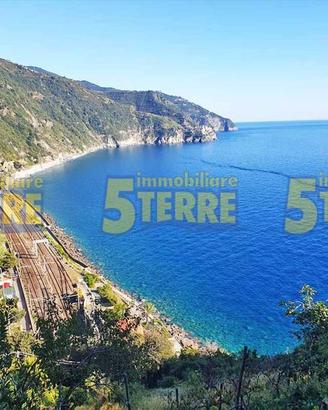 Appartamento di 60 m² con 3 locali a Vernazza