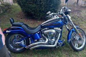 harley davidson softail cvo custom 
