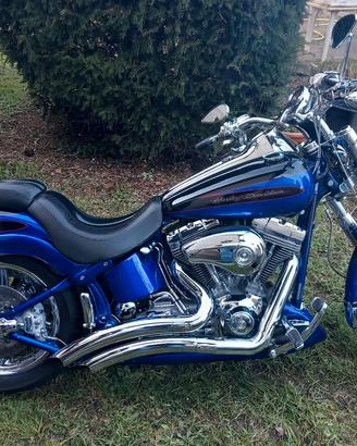 harley davidson softail cvo custom 