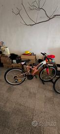 bici  modello bics 22 pollici