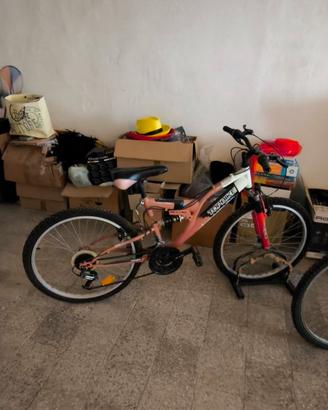 bici  modello bics 22 pollici
