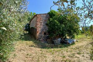 Rustico a Montecastrilli