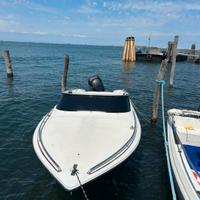 Tullio abbate sea star 21