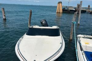 Tullio abbate sea star 21