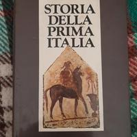 storia della prima Italia 1984