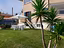 Immagine 11