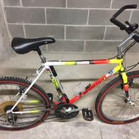 Mountain Bike anni 90