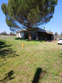 Terreno zona tola ( ozieri )