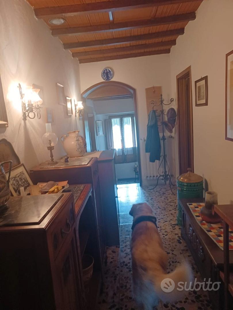 Appartamento – Montemignaio, Arezzo - Vista 4